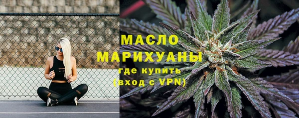 mix Пересвет
