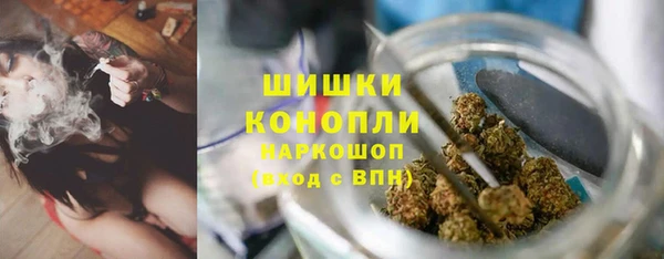 mix Пересвет