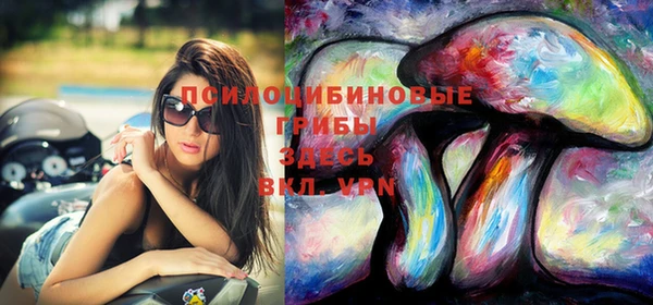 стафф Пестово