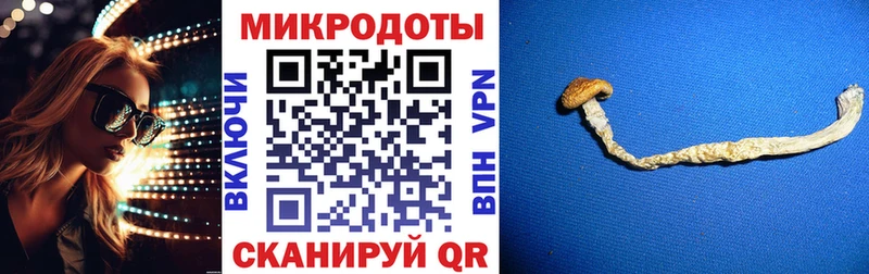 Псилоцибиновые грибы Cubensis  hydra ссылка  Приволжск 